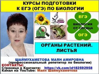 ОРГАНЫ РАСТЕНИЙ. ЛИСТЬЯ.