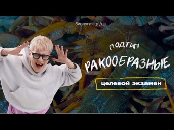 ПОДТИП РАКООБРАЗНЫЕ. РЕЧНОЙ РАК | Целевой экзамен