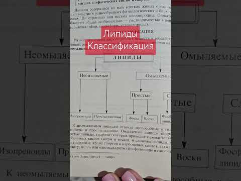 Липиды #химия Липиды #химия
