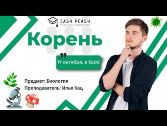 Корень | Илья Кац | Онлайн-школа EASY PEASY | ОГЭ биология