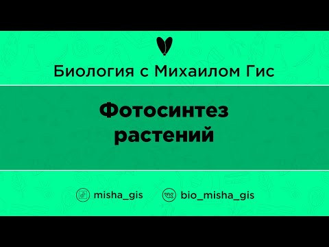Фотосинтез растений  | ЕГЭ ОГЭ Биология с Михаилом Гис