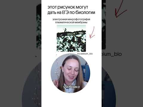 как вам такой рисунок?